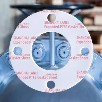 Expanded PTFE Gasket